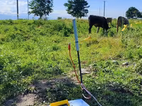 Portativ Elektrik Çəpər Cihazı (enerqizer) - 12 V akkumulyatorla — foto 5