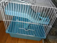 Ağ rəngli xırda hamster və komplekt ləvazimatları Paket tərkibi: - — फ़ोटो 2