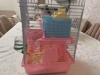Siçan/hamster ile 2 mərtəbəli!qəfəs dəsti 'qızdı yemək və qumu ile — फ़ोटो 2