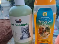 Ev heyvanları üçün aksesuar dəsti Satiram.Hammisi birgə Satilir Dəst — الصورة 3