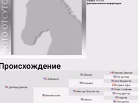 Айғыр, Жылқылар — 5-сурет