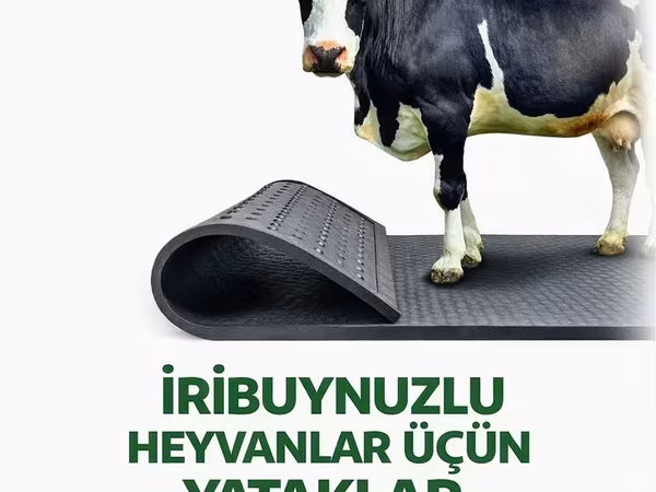 İriboynuzlu heyvanlar üçün yataqlar - Ferma və tövlələr üçün xüsusi