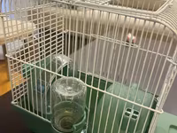 Hamster ucun qefes satilir, elave oyuncaqlar da var. Icini deyismek — Foto 2