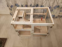 Dovşan,hamster,dağ — Foto 4