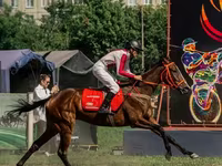 Yegua, Arabian horse — foto 2