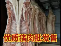 СВИНИНА ОПТОМ В ПОЛУТУШАХ - Прямая поставка свежей продукции. - — фото 2
