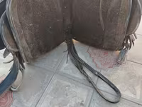 At üçün tam dəst yəhər - Material: qalın dəri, içlikli oturacaq və — Foto 1