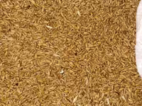 Vind griu 500 kg. — फ़ोटो 2