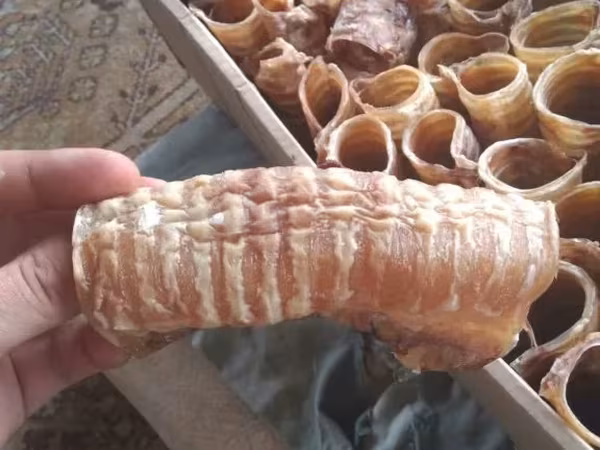 Мясо, субпродукты, обрезь говяжья
