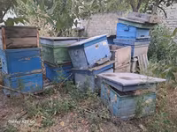 QİYMƏT: Razılaşma yolu ilə Arıçılıq üçün taxta təhnələr və — foto 1