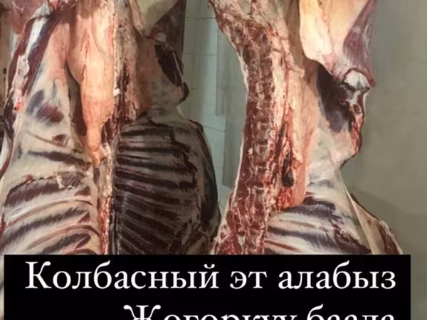 Сырьё для колбасного производства — говяжьи полутуши/мясо на колбасу