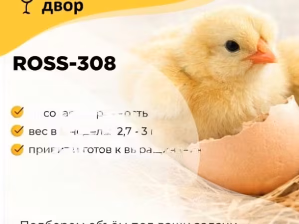 Росс 308