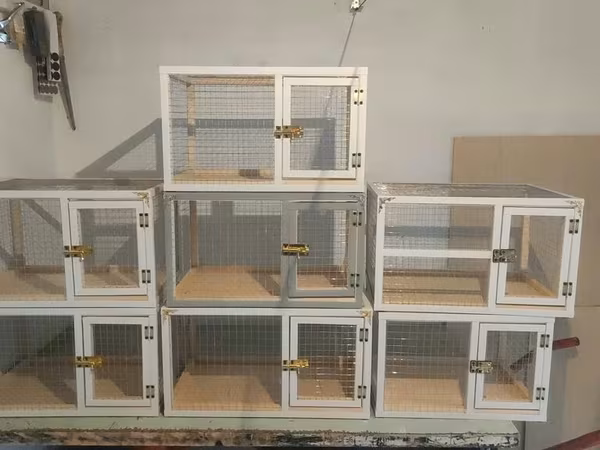 Dovşan,cücə,pişik,hamster,quş ve s kimi ev heyvanlari üçün qəfəsler