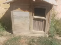 Taxta it evi / dam - Material: qalın taxta karkas, taxta obşivka - — foto 3