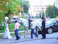 Caballo, Caballos — foto 4