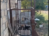 Metal mal və inək çəkmək üçün tərəzi - İstiqlal dəmirdən yığılmış — Foto 1