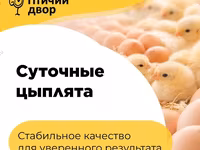 罗斯308 — 照片 8