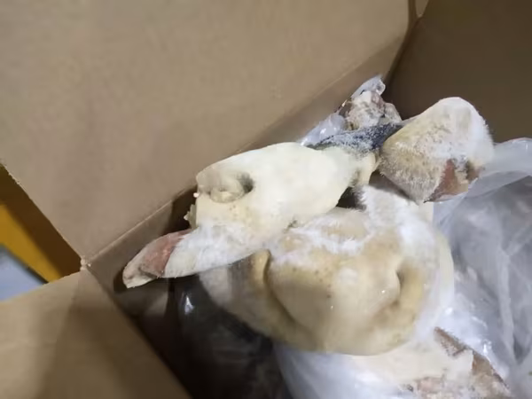 Губы говяжьи с носами