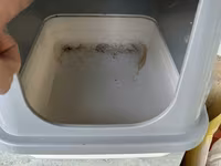 Qapalı pişik tualeti (süzgəcli sistem) Çox az işlənib - Tip: qapalı — photo 1