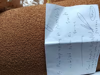 It ve pishikler ucun yem ve su qablari satilir tezediler bashqa — Foto 3