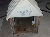 İt evi (künc damlı) - Material: taxta karkas, üstü rənglənmiş — foto 1