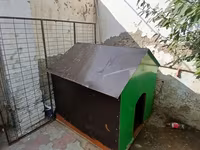 Böyük ölçülü it evi - Material: möhkəm taxta karkas, üstü — 1-rasm