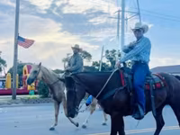 At, Quarter Horse — foto 5