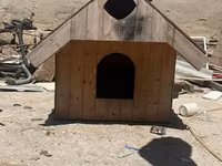 Taxta it evi altida var balaca itler ucun - Material: qalın taxta — foto 1
