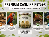 Məhsul: Canlı kriketlər – sürünənlər və quşlar üçün premium yem — foto 5