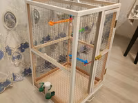 Papuqay,dovşan,hamster,şinşila,bildirçin,cücə,xamyak,pişik,quş,tısbağa — photo 5