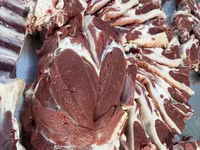 Qoç, Rhon sheep — foto 5