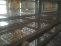 Sənaye tipli quşçuluq qəfəs sistemi - Material: sinklənmiş metal — الصورة 4