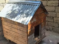 Taxta it evi - Material: qalın taxta lövhələrdən yığılıb, iç və dış — foto 1