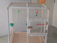 Papuqay,dovşan,hamster,şinşila,bildirçin,cücə,xamyak,pişik,quş,tısbağa — 照片 1