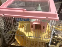 Hamster və tam avadanlıqlı qəfəs dəsti Məhsulun tərkibi: - Kiçik — फ़ोटो 2