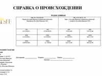 Баран, Восточно-фризская молочная овца — фото 3