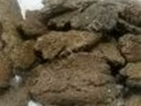 Жмых подсолнечный ракушка — الصورة 2