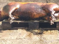 Vind carne de porc de casa crescut cu resturi de la gradinite — foto 5