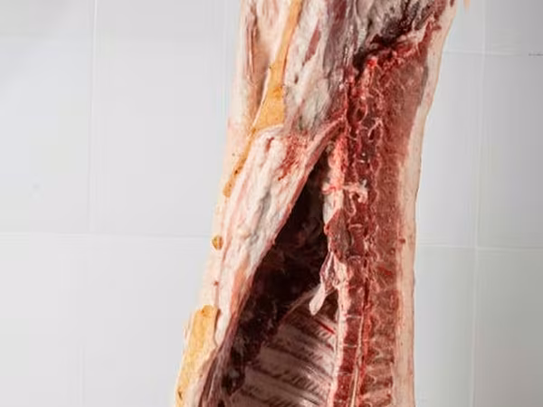 Vand carcasa de porc 75 lei kg