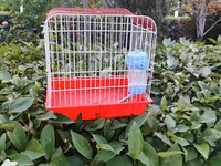 Qırmızı-ağ quş qəfəsi - Material: metal barmaqlıqlar və plastik — Foto 2