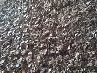 Жмых подсолнечный от производителя — foto 1