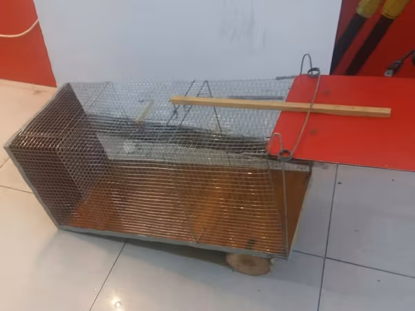 Məhsul: Canlı tələ qəfəsi Təsvir: - Metall torlu konstruksiya, möhkəm