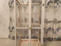 Papuqay,dovşan,hamster,şinşila,bildirçin,cücə,xamyak,pişik,quş,tısbağa — 1-rasm