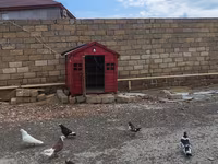 Qırmızı taxta quşxana / göyərçin yuvası - Material: möhkəm taxta — foto 2