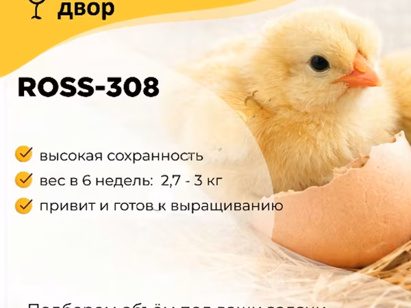 Ross 308