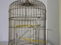 Zədəsiz,ideal vəziyyətdə.Zavod malı,3 qapılı.Hündürlüyü 50 sm — 4-rasm