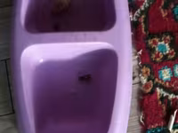 Məhsul: Pişik üçün aksesuarlar dəsti – Daşıma çantası: Sərt korpuslu — Foto 4