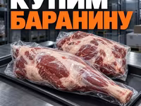 Баранина - истекающий/вышедший срок — фото 1