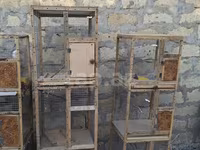 Quş qəfəsləri – çoxbölməli taxta-karkaslı konstruksiyalar • Material — foto 2