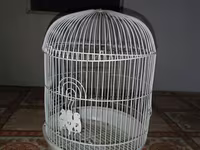 Ağ rəngli dairəvi quş qəfəsi - Material: metal telli korpus, plastik — foto 2